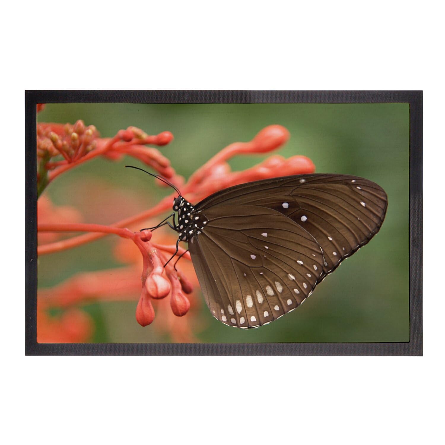 Paillasson papillon noir avec impression photo haute netteté