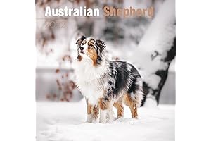 Australian Shepherd Calendar 2022 to 2025 Dog Breed Monthly Wall Calendar