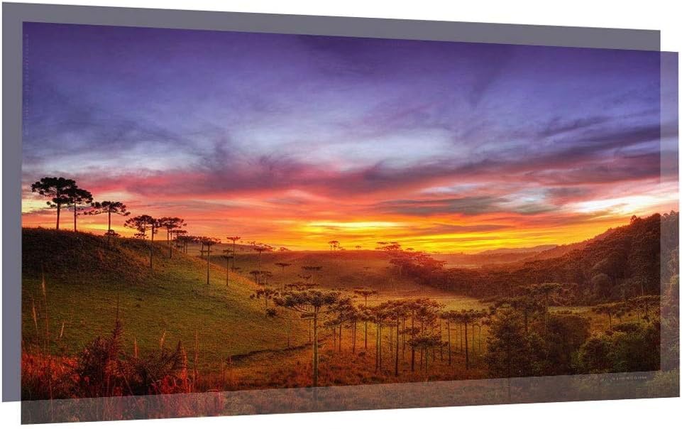 Pantalla de proyector de 120 pulgadas con tela reflectante 16:9
