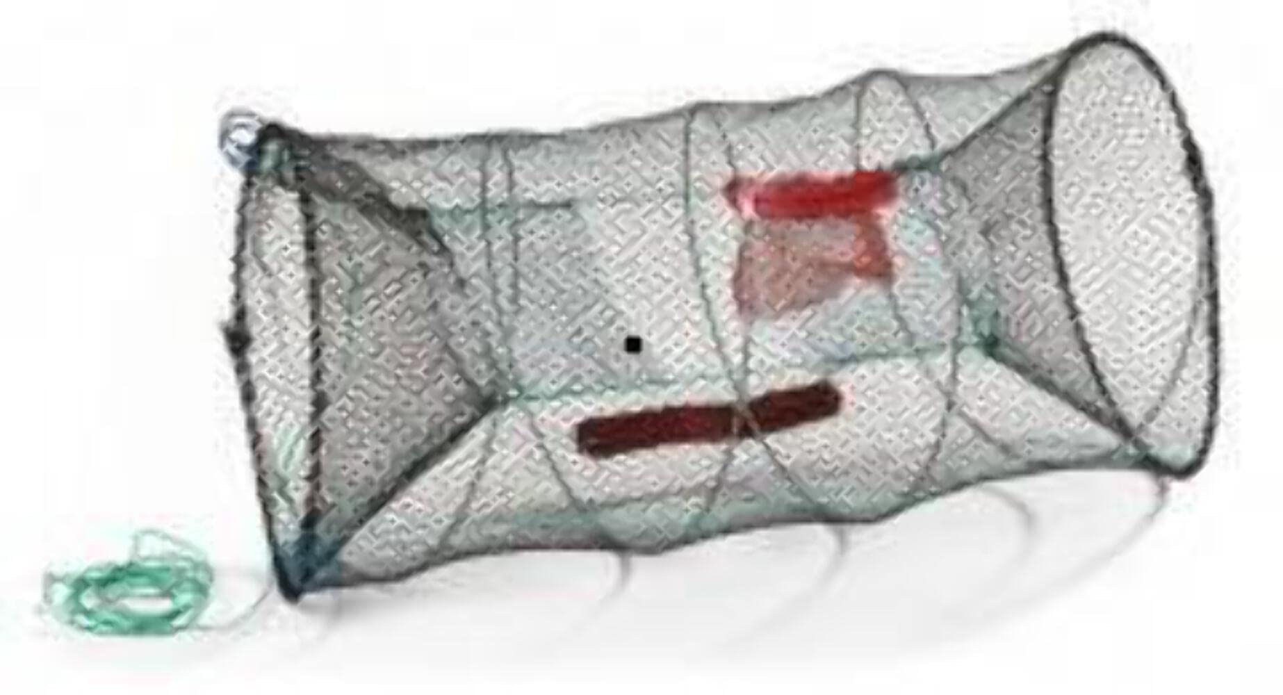 Buy Hillington Collapsible Crab Basket Great Trap Net for Catching