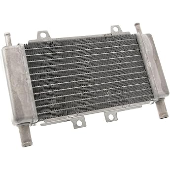 K&uuml;hler, Radiator, Wasserk&uuml;hler kompatibel mit Piaggio Zip C25, Runner C14 C36, DNA C27 | Roller-Radiator aus Aluminium, Ma&szlig;e 