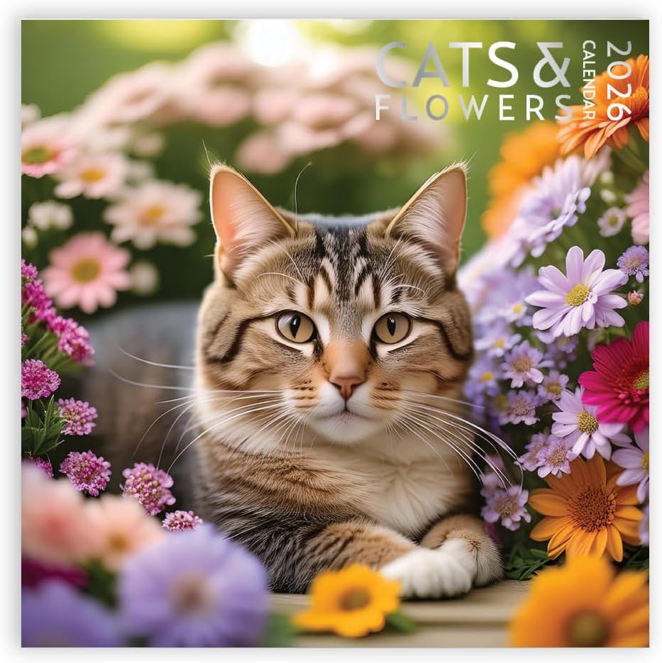 Cats and Flowers Large Wall Calendar | 12 x 12 Inches | 2026 Wall Calendar | Christmas Gift (Cats and Flowers)