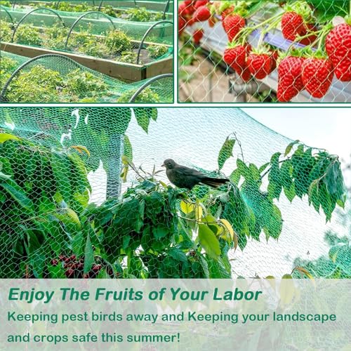 4x6 m Vogelschutznetz Engmaschig, Teichnetz, Vogelnetz, Laubnetz, Obstbaumnetz, Robust Feinmaschig, Witterungs & UV beständig Grün 17x17mm 20g/m2