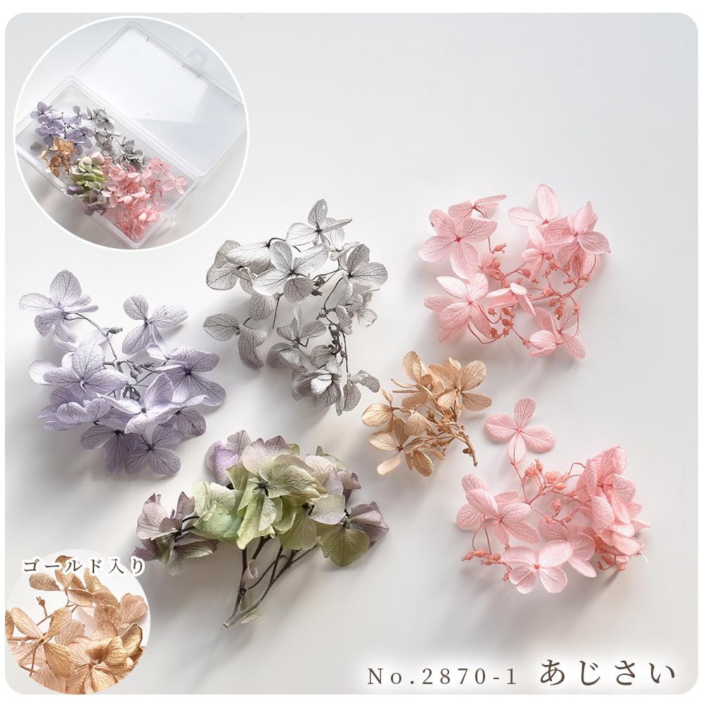 Amazon | MYmama ドライフラワー 大地農園 アソート セット