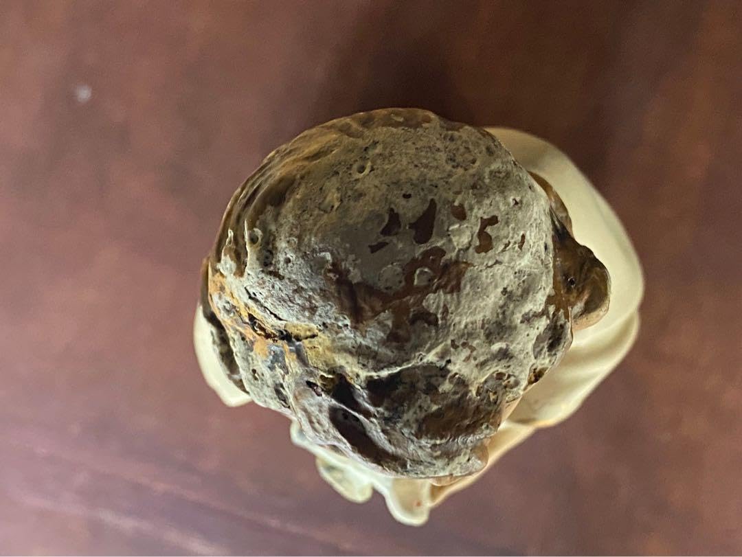 希少 白鳩を抱く幼子イエス少年 キリスト像 置物 インテリア