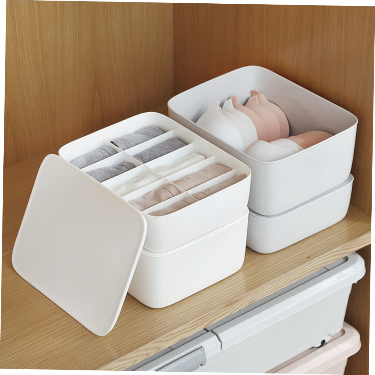 Scatola Organizer per Biancheria Intima con 10 Scomparti Bianca