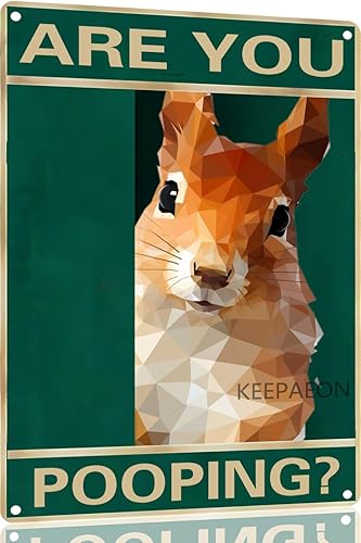 Letreros de aluminio divertidos de 12 x 8 pulgadas, diseño de ardilla con texto en inglés "Are You Pooping" (5022)