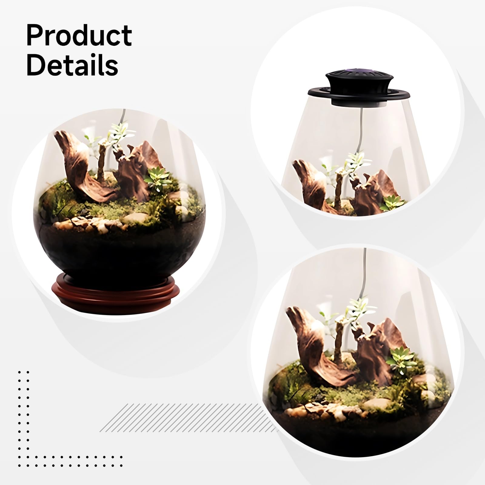 Szklane terrarium na rośliny z oświetleniem UFO LED, ekosystem biurkowy z mchem, 5 V, 2 A, czarne światło, do biura i wystroju domu, w zestawie butelka ociekowa i kabel typu C