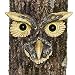 Bits and Pieces - Owl Face Tree Hugger - Garden Peeker Yard Art - Outdoor Tree Hugger Sculpture Whimsical Tree Face Garden Decoration
