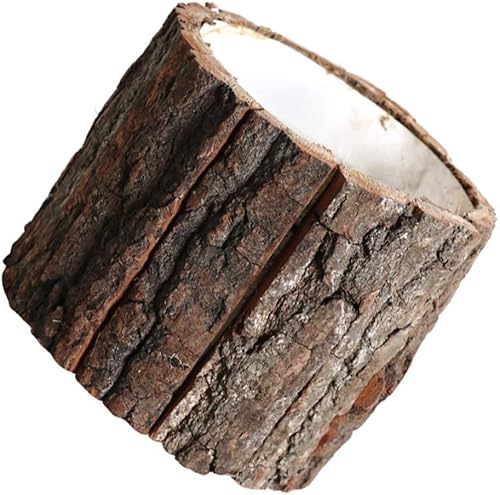Hemoton Macetas rústicas para suculentas, macetas de cactus, árbol de madera, tronco, tocón, maceta, hierbas, cactus, bonsái, decoración para el