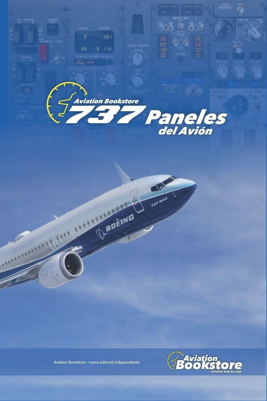 737 Paneles del avión (Aviación)