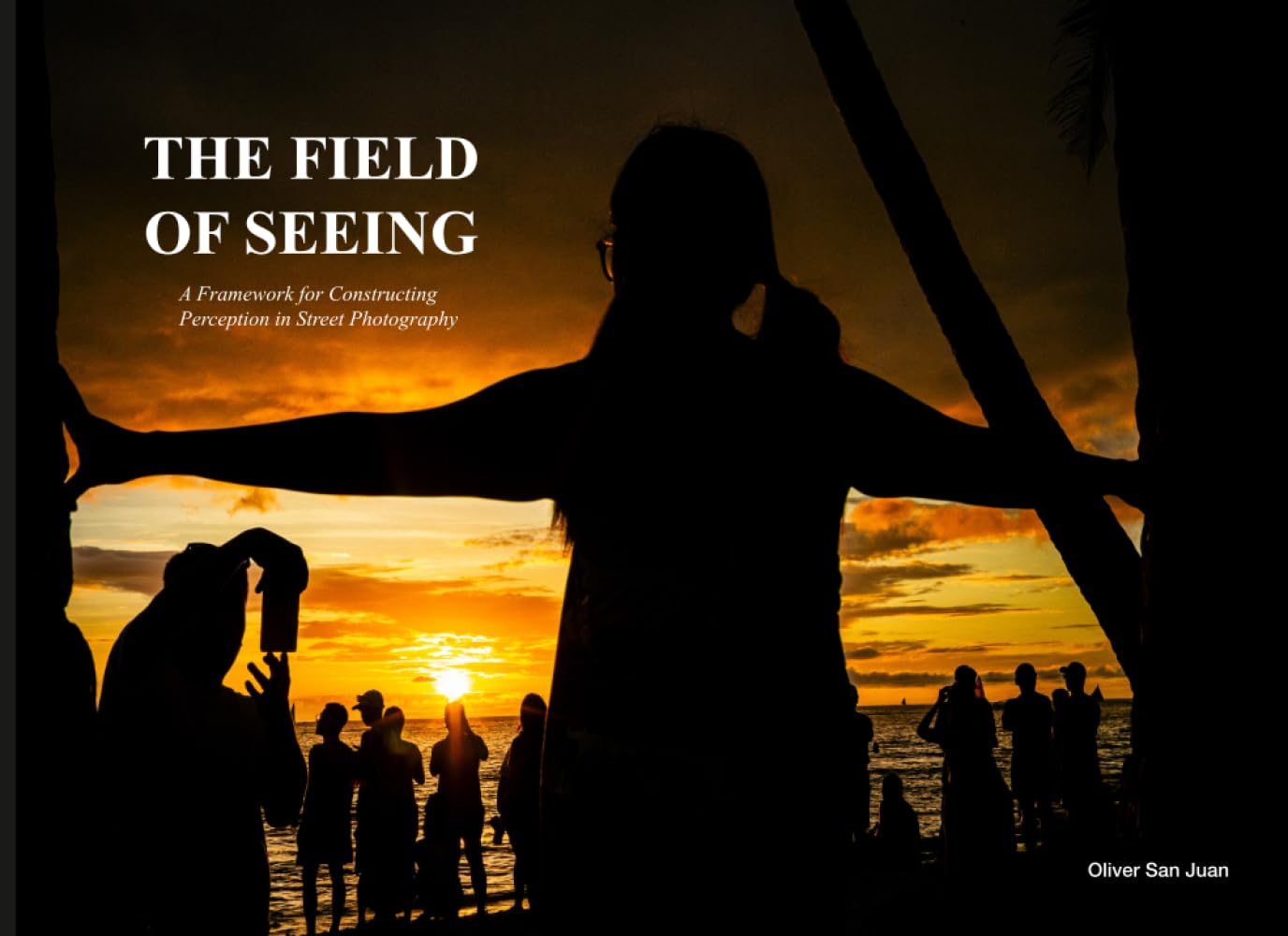 The Field Of Seeing: A Framework For Constructing Perception In Street Photography