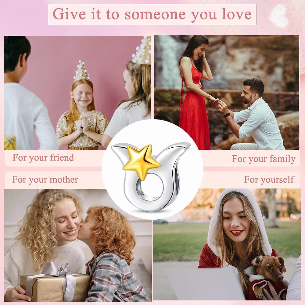 925 Sterling Silver 12 Astrological Signs Charm for Bracelets and Necklace Happy Birthday Charms for Bracelet and Necklace Valentine's Day Mother's Day Gift - Image 6