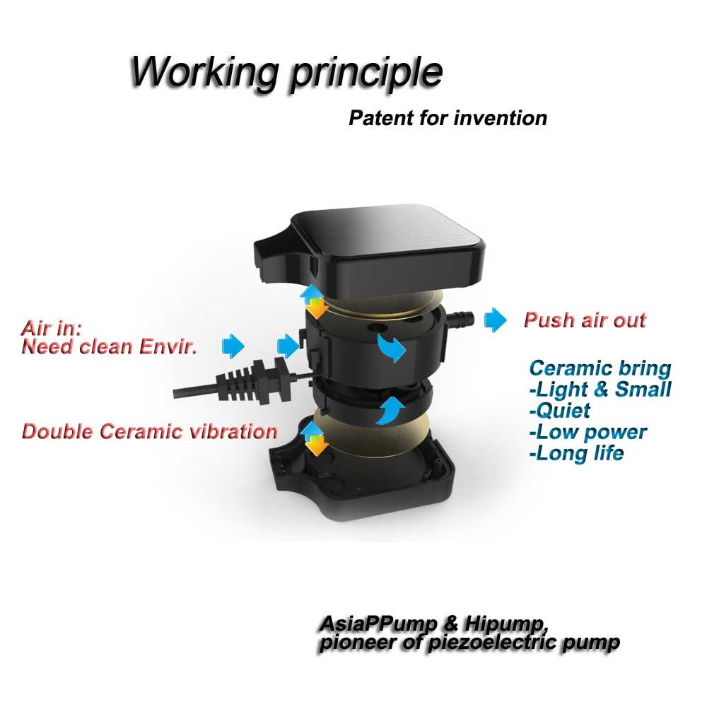 HITOP Dual Outlet Aquarium Air Pump, Whisper Adjustable Fish Tank