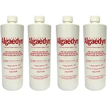 Silver Algaedyn Algae Remover Algaecide | Green and Mustard Algae Remover | Black Algae Remover | 32 oz. | 47-600 4