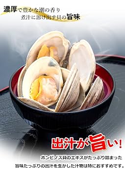 新種？クリスマス島　貝(大) 新種？クリスマス島 貝(大) 新種？クリスマス島貝(大)