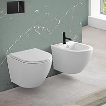 TAO Series Wall-Mounted Wall-Mounted Toilet Seat with Swirl Flush and Soft-Close Toilet Cover