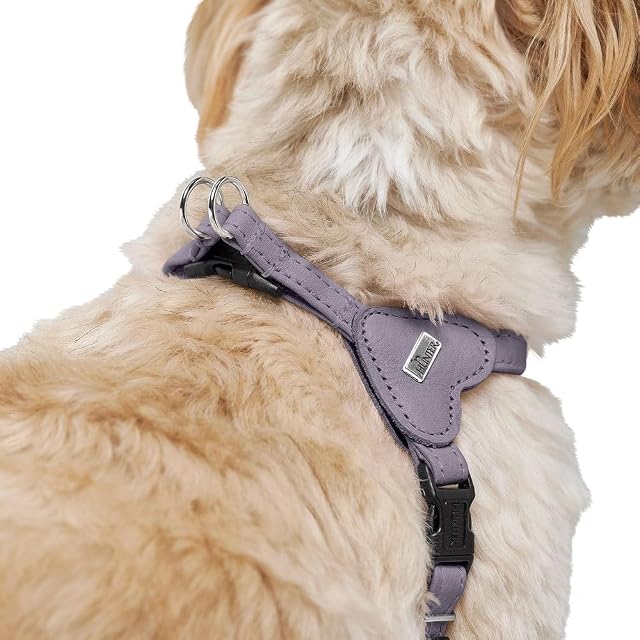Foto 7 de 8 de HUNTER Soho Mini - Arnés para Perros (Piel de Vacuno, Suave y Flexible, Suave al Tacto, Ligero, para Perros…