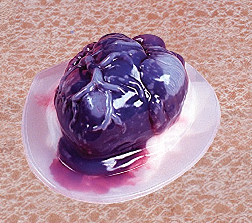 Moule Coeur Jello Fun World multicolore translucide pour entremets gélifiés