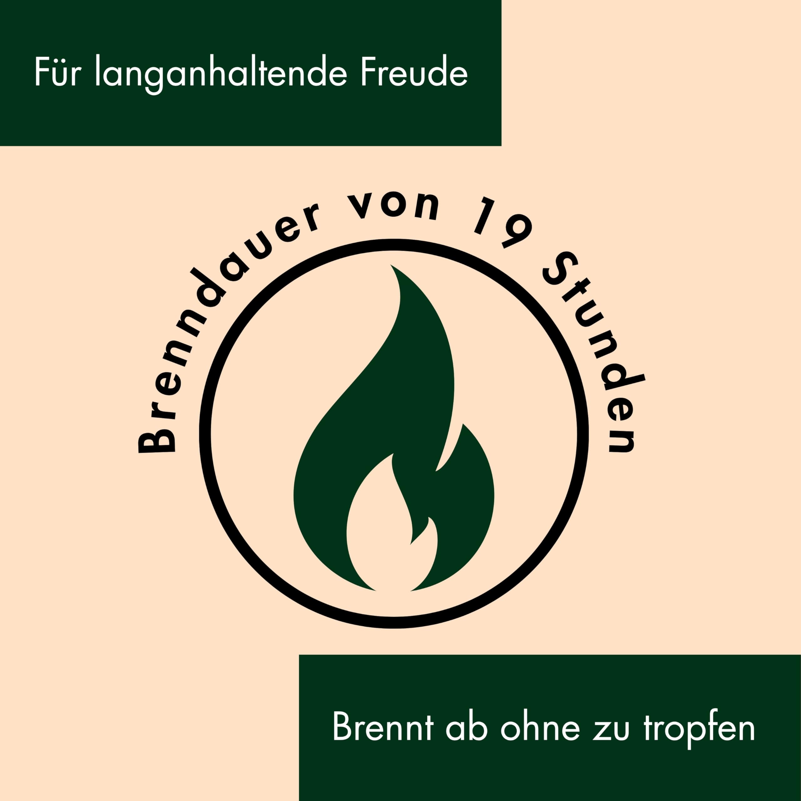 4 Bienenwachskerzen rot kleine Stumpenkerzen aus 100% Bienenwachs Adventskerzen Weihnachtskerzen Honigkerzen 4er Set 95/40mm Docht Biobaumwolle