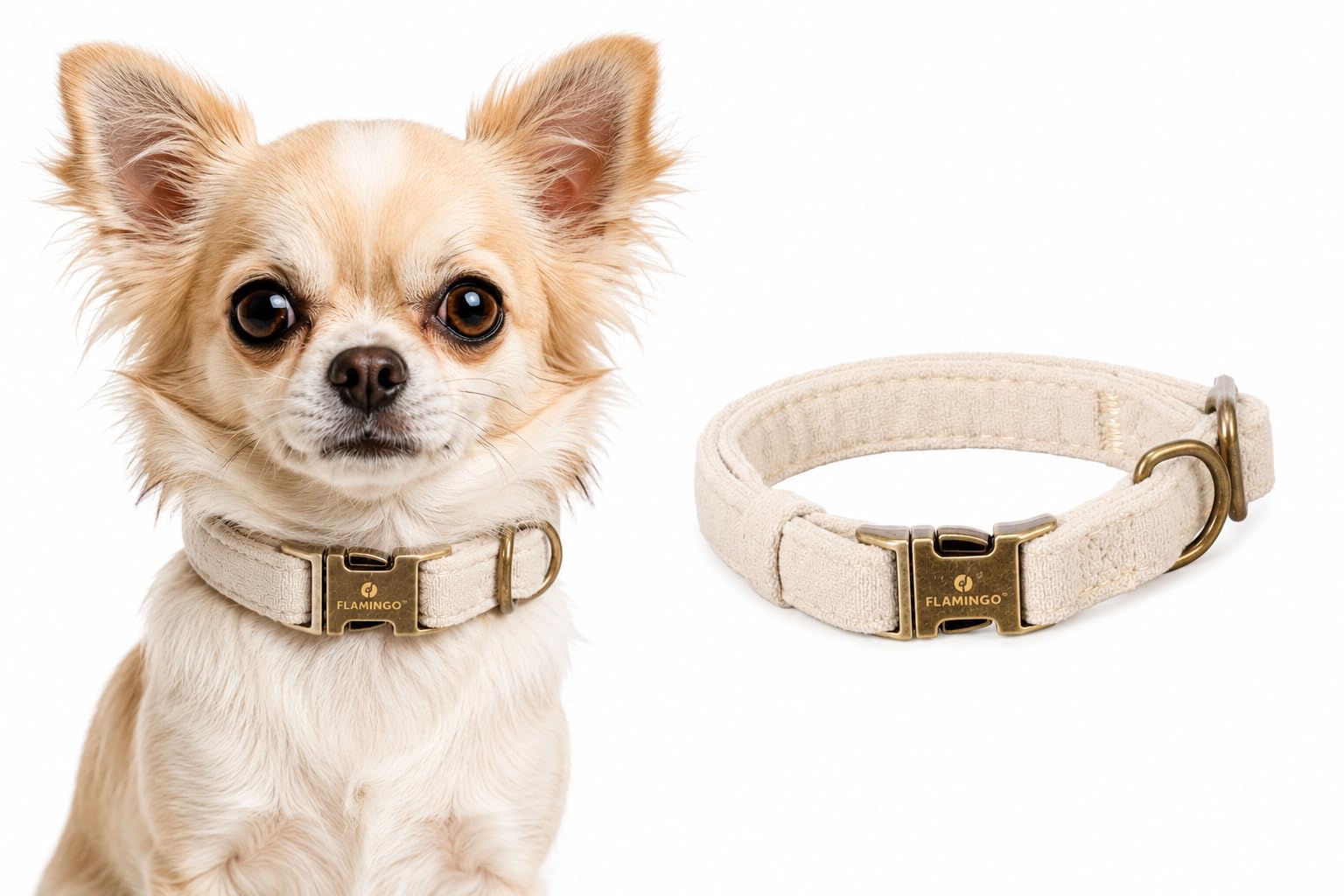 Flamingo Dog Collar Janka Beige XS 20-35cm 10mm