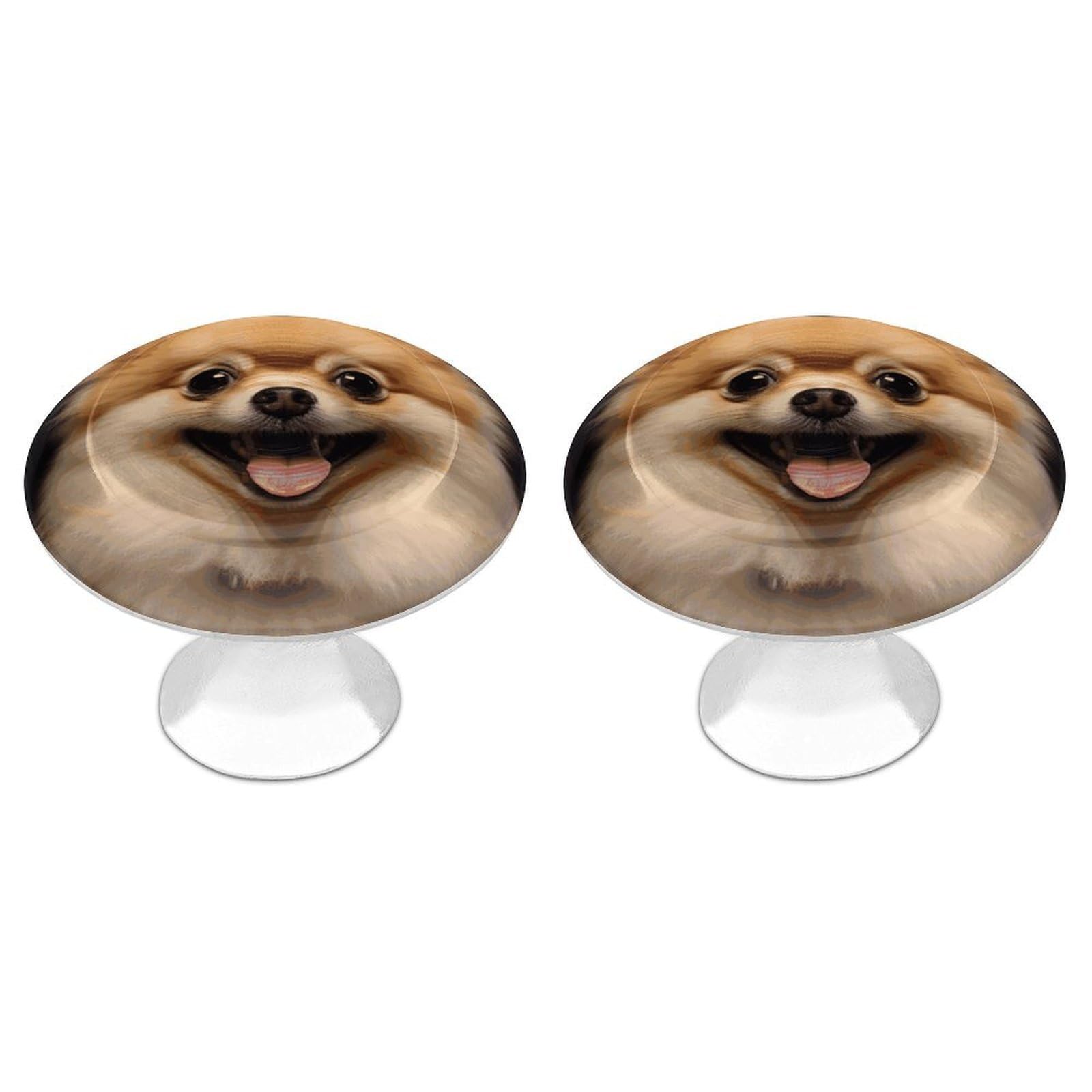 Btcowzrv Style Happy Short-Haired Pomeranian 2 Pack Cabinet Knobs Drawer Pulls