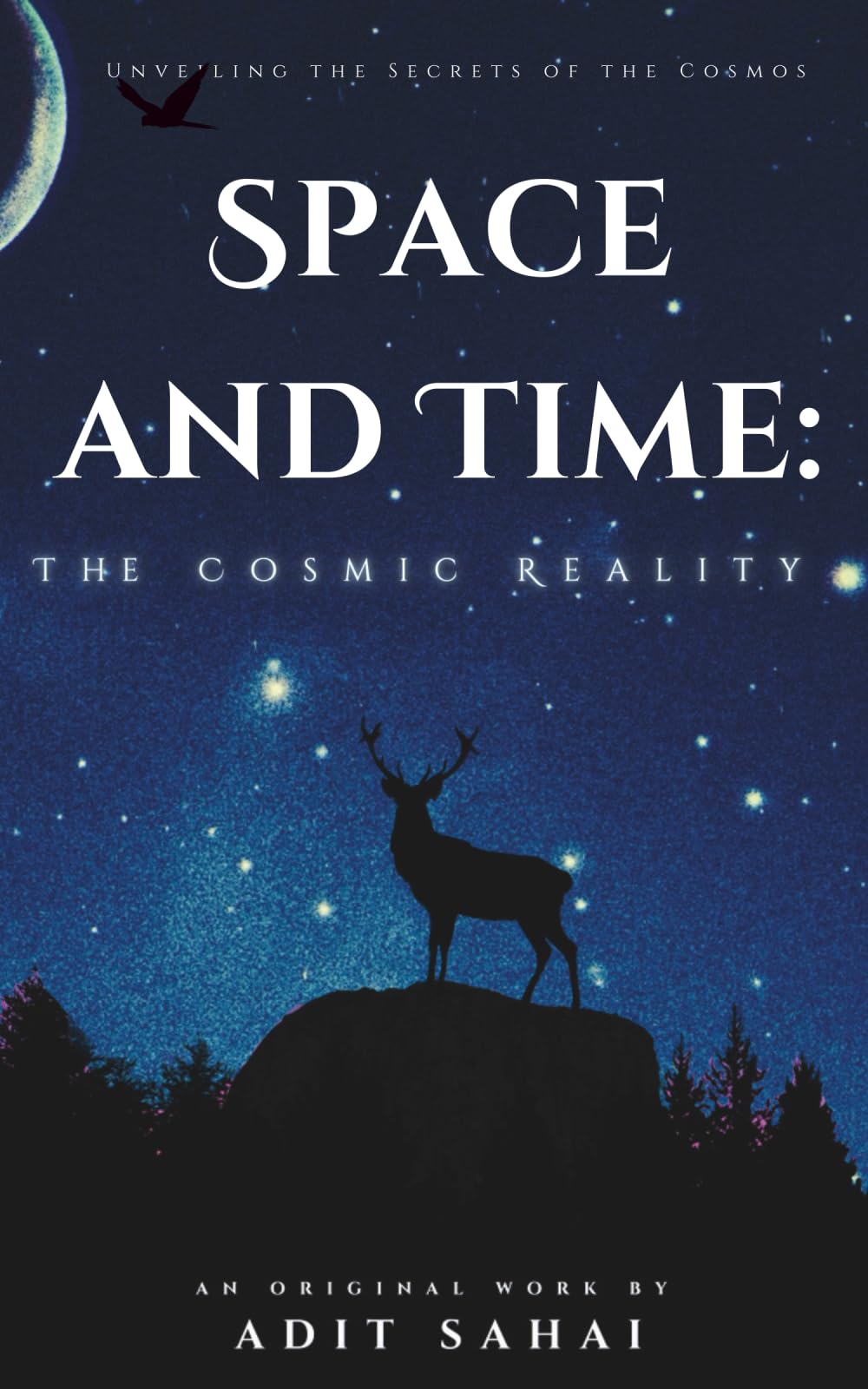Space and Time: The Cosmic Reality