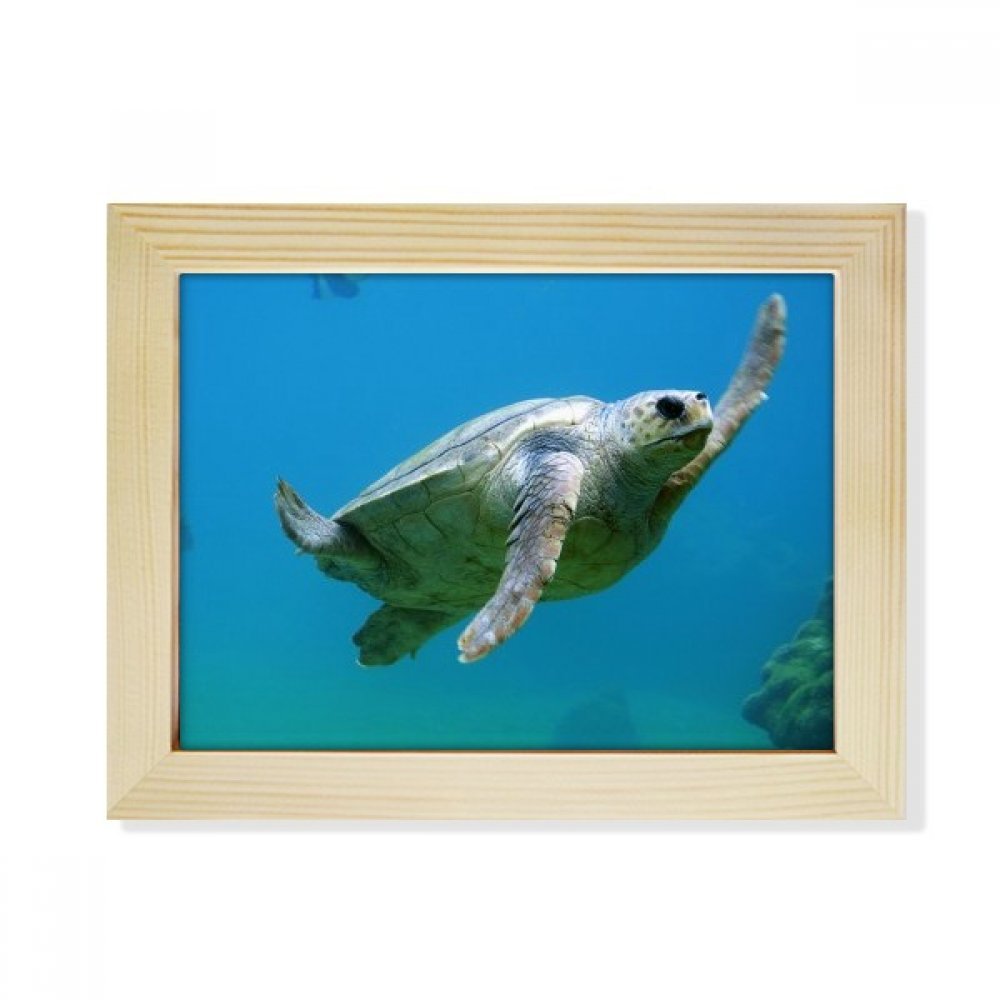 Marco de fotos de madera 6x8 pulgadas de tortuga océano