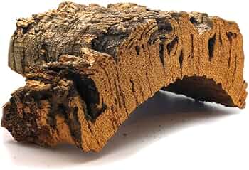 61JAwNgKyIL._AC_UF350,