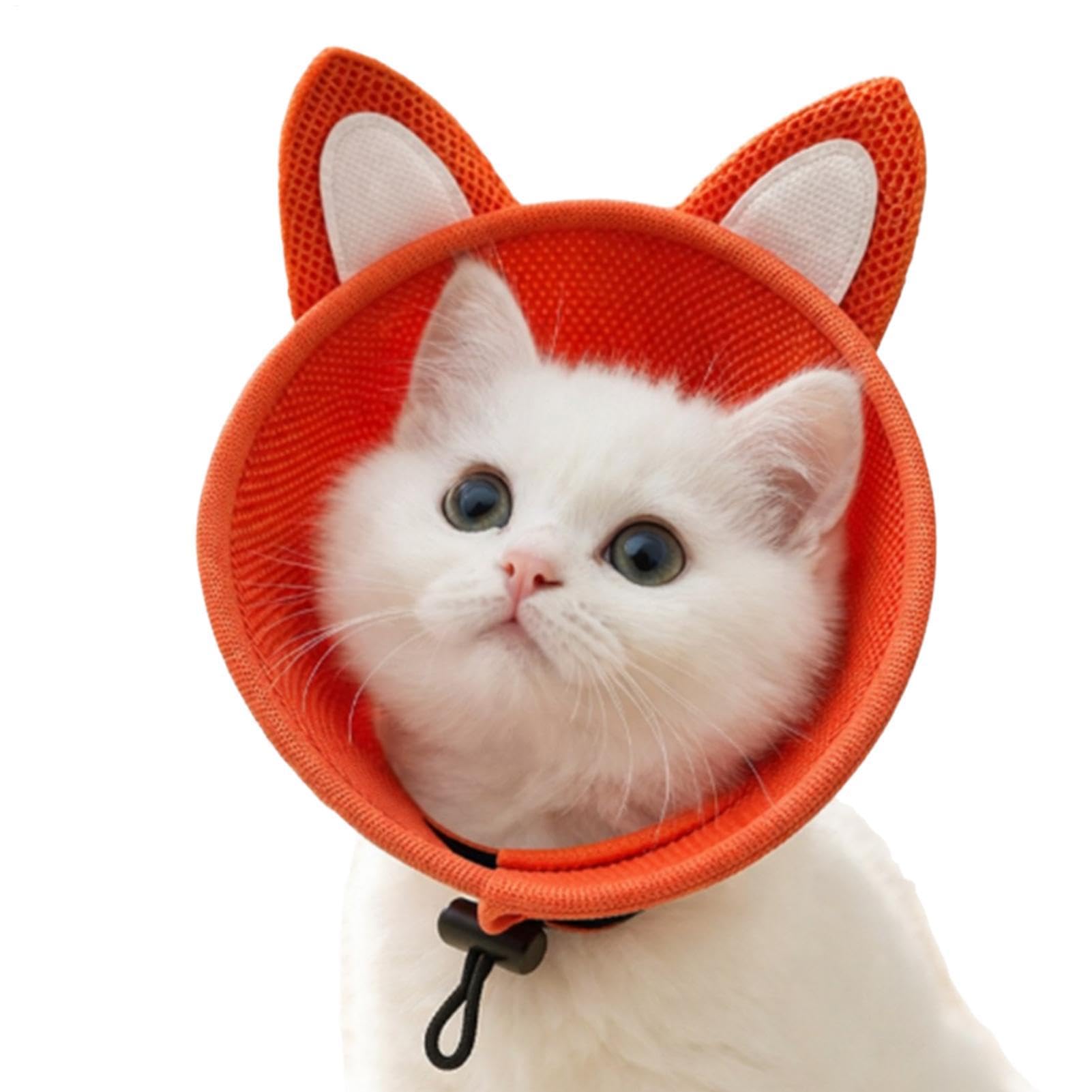Collar protector para heridas de gatos ideal para el cuidado interior