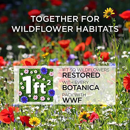 Botanica by Air Wick Air Freshener Scented Oil for Electrical Plug Diffuser Island Rose and African Geranium Refill Twin Pack 2 x 19 ml