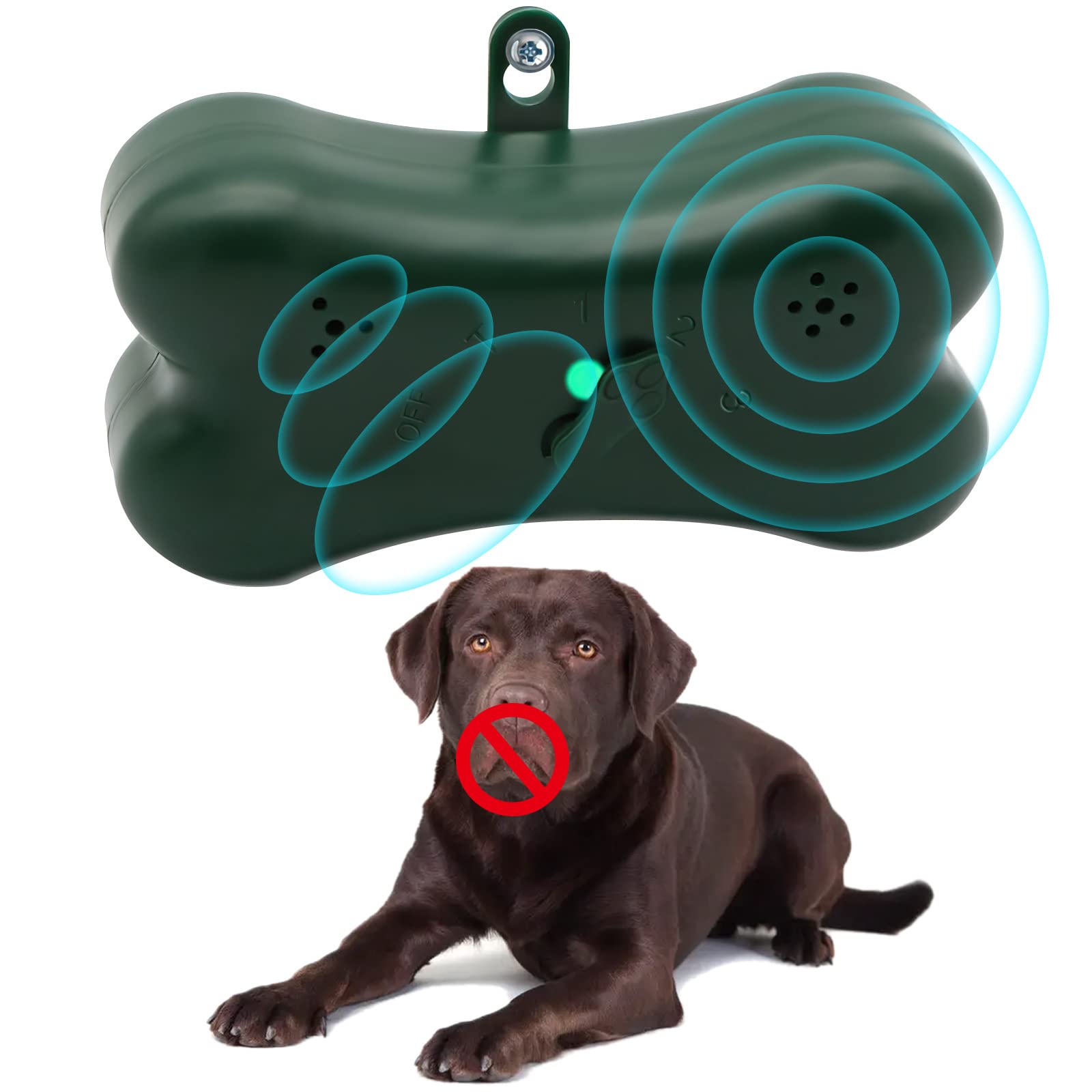 Should You Let Your Dog Bark At You