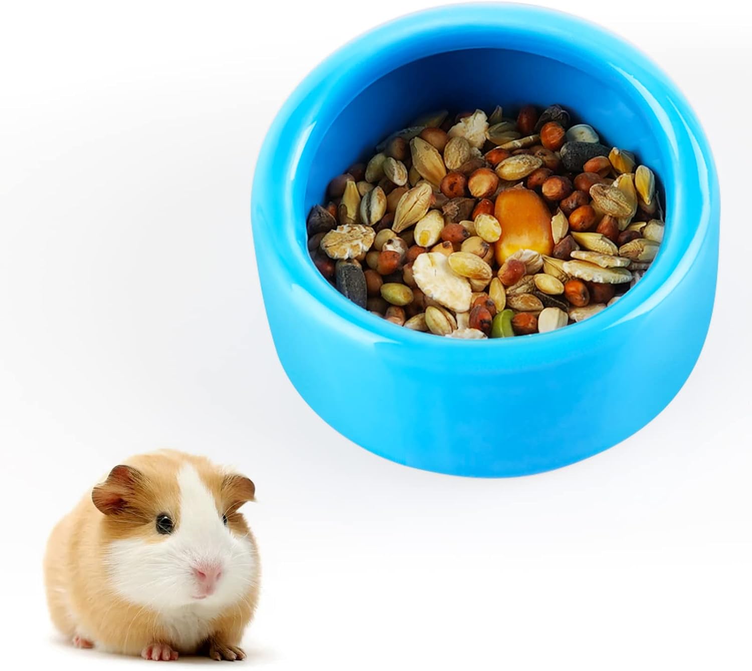 hamster bowl