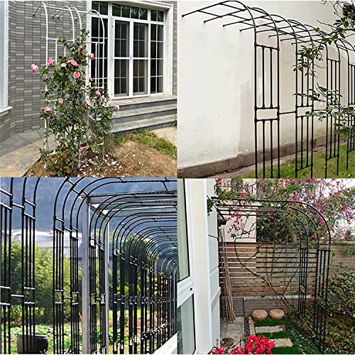 Arche de jardin en métal robuste pour plantes grimpantes et décoration haut de gamme