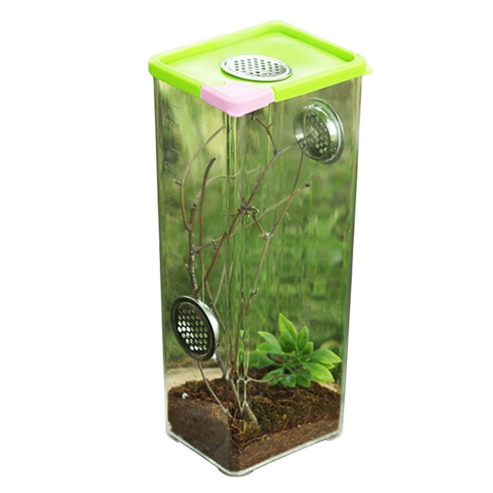 Reptilien-Terrarium, Transparente Acryl-Reptilien-Futter-Terrariumbox for Schildkröten-Eidechsen-Spinne