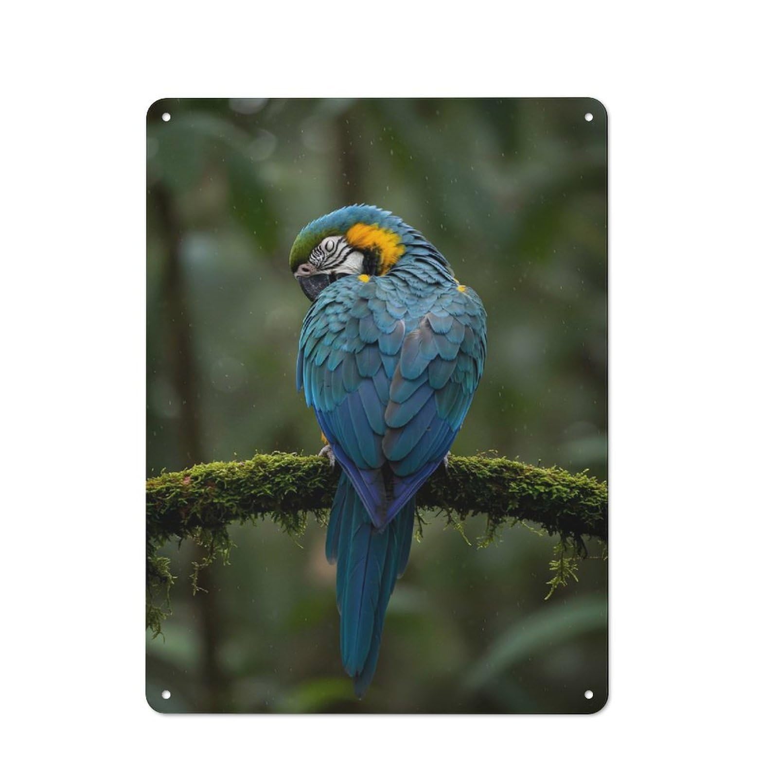 Junmoney Style-24 Blue And Gold Macaw Portrait Retro Tin Wall Plaque 40X30cm For Home Office Or Studio, For Cooler-Month Interiors With Retro Character