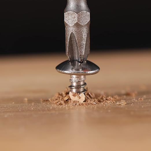 #10 x 1 Tornillo para madera 100 piezas cabeza truss Phillips acero inoxidable 18-8 (304) auto perforante de SG TZH miniatura 6