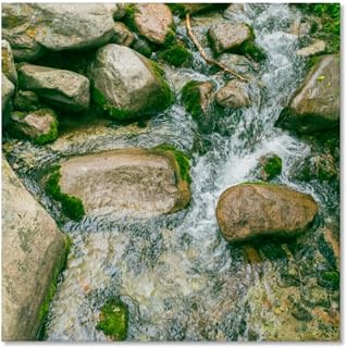 TIEOIYA Stream Mount river bank mossy stones flowing water Canvas Wall Art for Bathroom Bedroom Pictures Wall Decor Living Room Kitchen Office Framed Poster Prints Artwork Painting 16x16