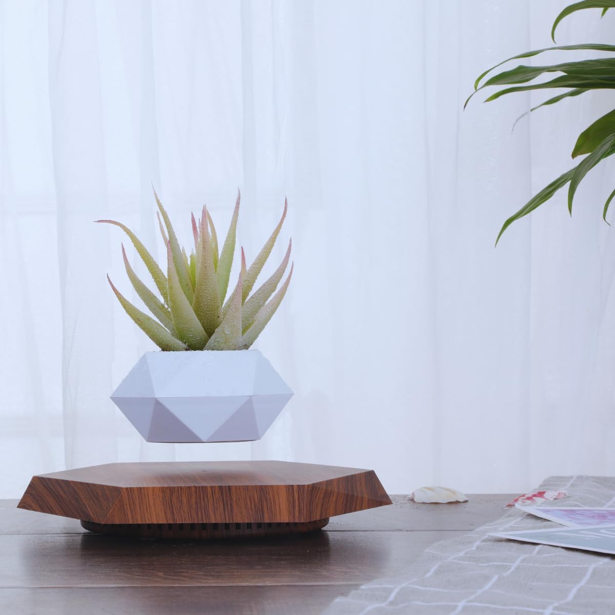 MOOCCI Floating Plant Pot Magnetic Levitating Plant Pot for Succulents, Air Bonsai and Fake Flowers and Plants, Home Office Desk Decor, Gift for Easter, Mother's, Father's Day (Brown)