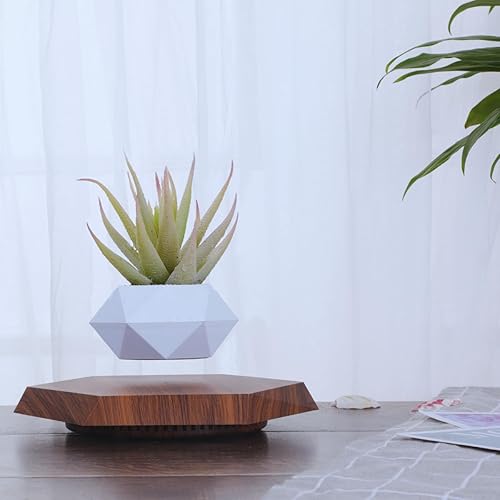 Miniatura 8 de MOOCCI Maceta flotante con levitación magnética para suculentas, bonsái de aire y flores y plantas falsas, decoración única para el hogar, oficina y