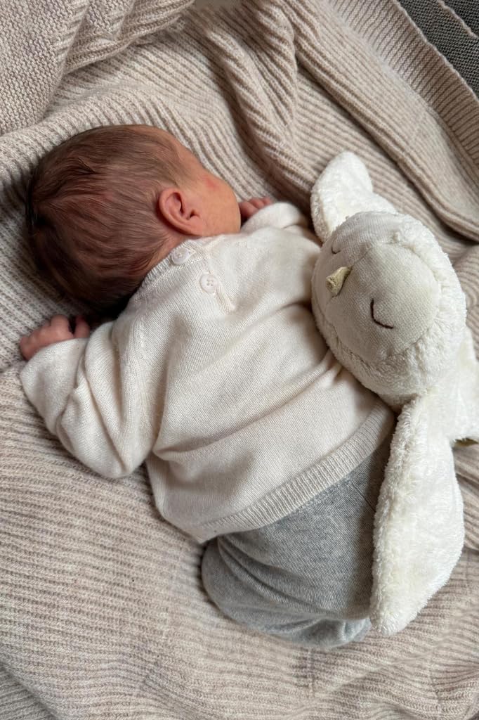 Senger Naturwelt Mała przytulanka śnieżna sowa w kształcie zwierzątka, biała | we współpracy z "Ihre Mamafühle" | przytulny towarzysz, od 3 miesięcy | Pluszowe zwierzątko z certyfikatem GOTS z