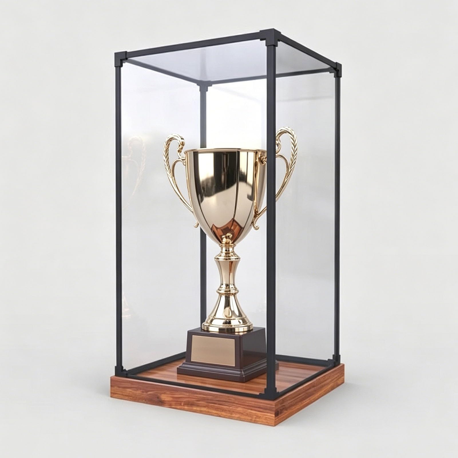 Tall Acrylic Display Box for Trophy/ Figures/ Dolls, Clear Plastic Display Case 6 12 16 20 24 30 in, Metal Frame Dustproof Decorative Showcase(60x60x60cm/24x24x24in)