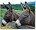 Produktbild Merchandise for Fans Mauspad/Mouse Pad aus Textil mit Rückseite aus Kautschuk rutschfest für alle Maustypen Motiv: Esel Zwei Tiere sehen über den Zaun [03]