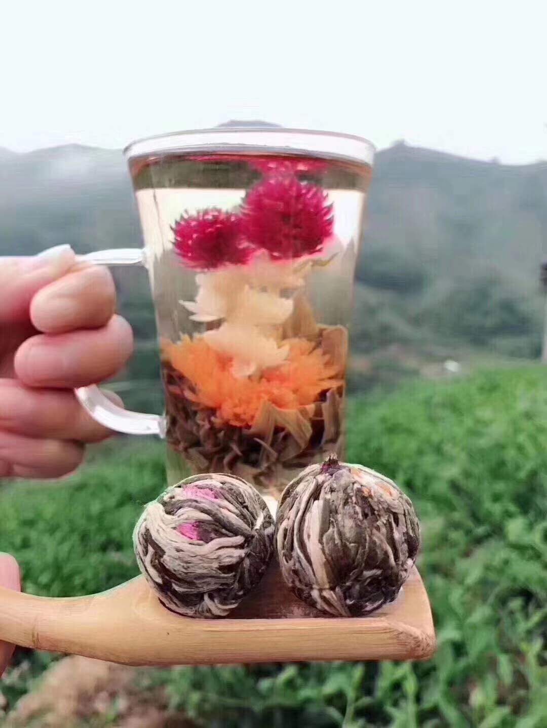 Bacilio 中国茶 花茶 工芸茶 水中花籠 ジャスミン 花咲く芸術品 双竜プレイビーズ 双龙戏珠茶 (14個)