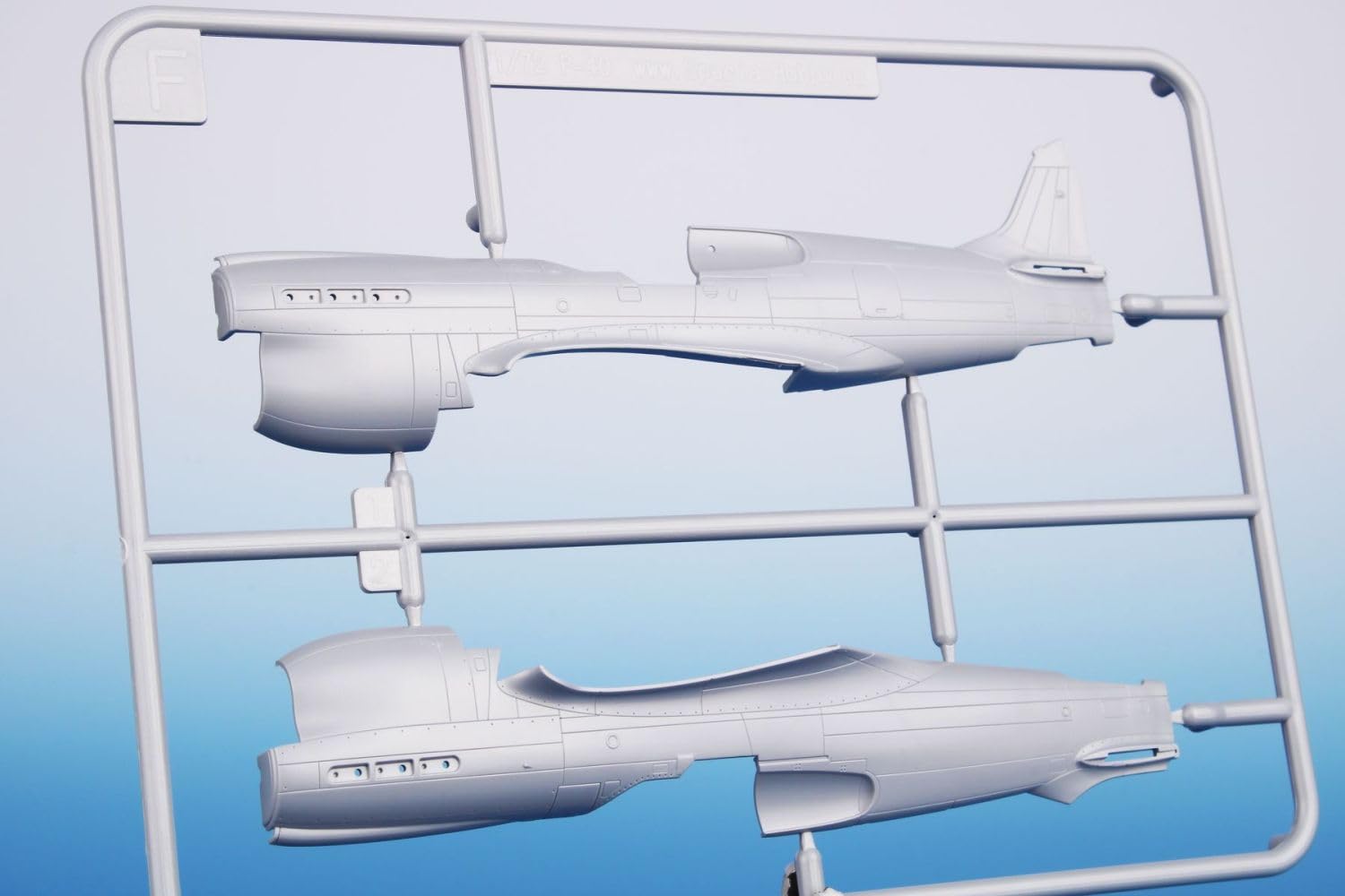 Amazon | スペシャルホビー 1/72 アメリカ カーチスP-40K-1/5ウォー