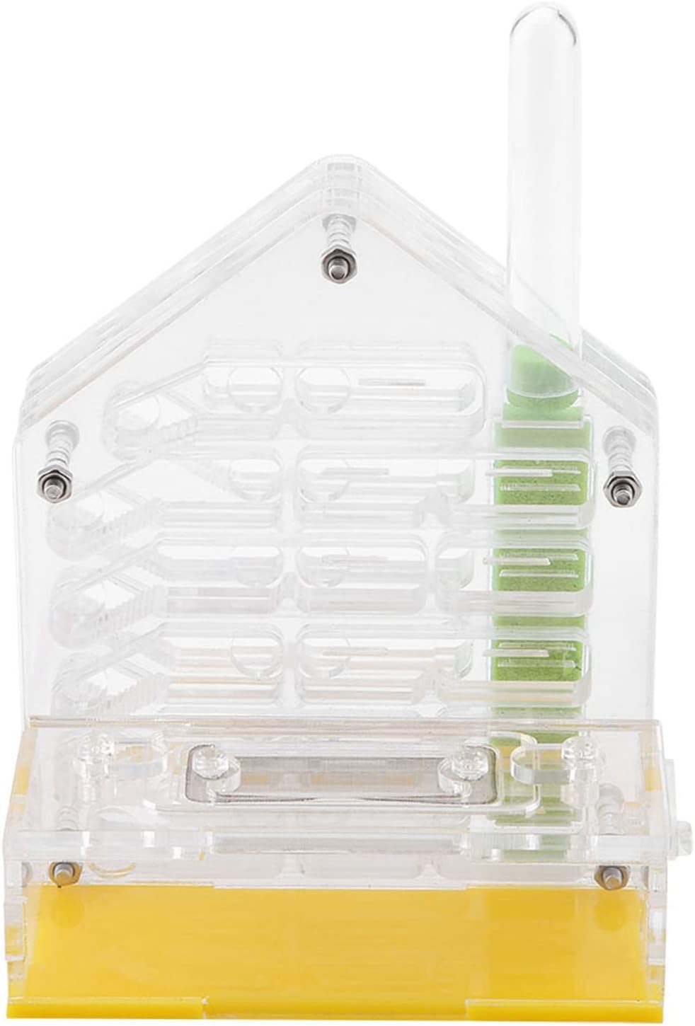 Acrylic Formicarium Nest Villa, DIY Habitat House for Feeding and Observation with Breathable Net
