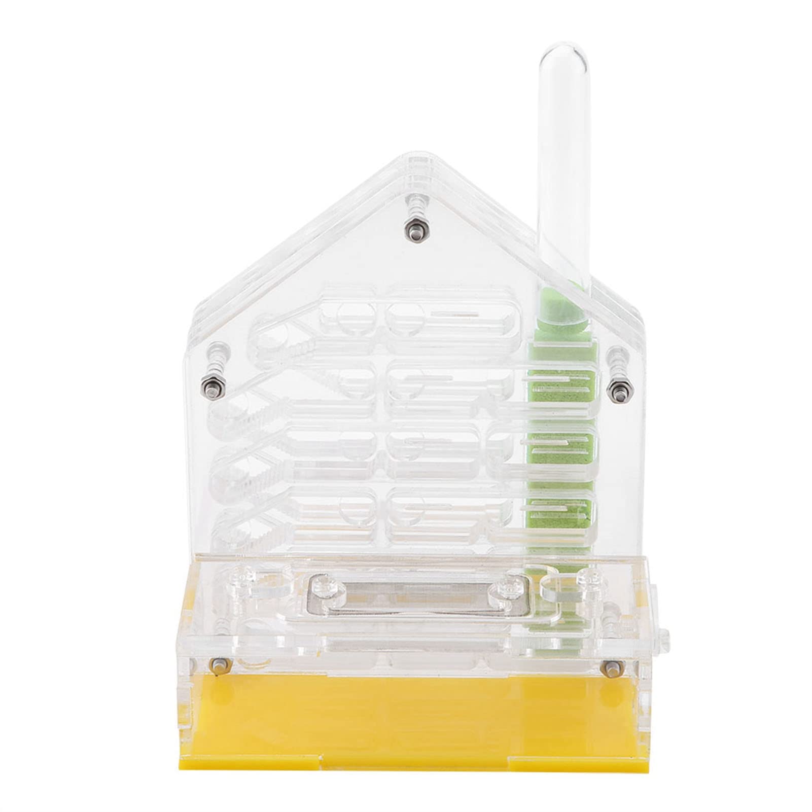 Formicarium Nourriture pour Fourmis 12×11×8 Acrylic Farm The Farm is Alive