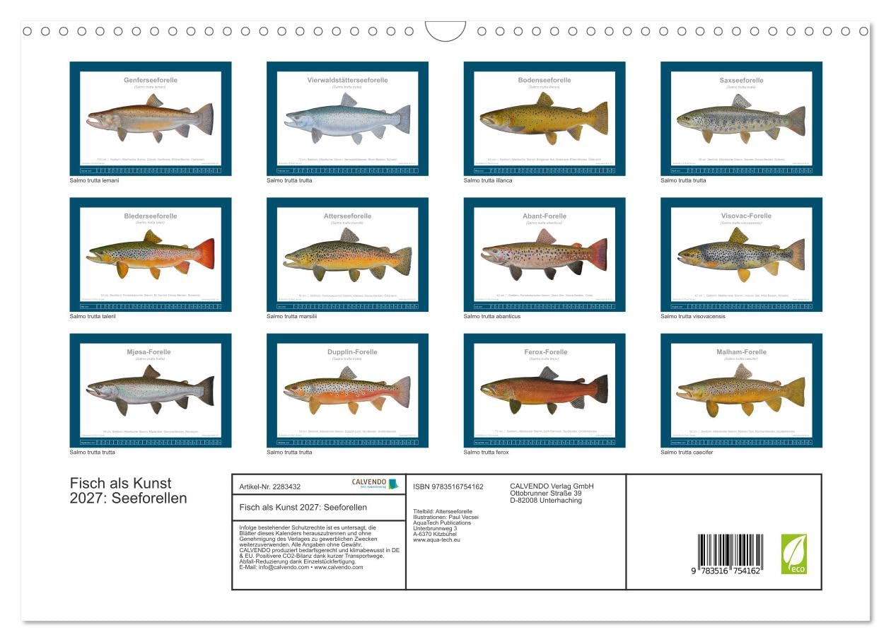 Fisch als Kunst 2027: Seeforellen (Wandkalender 2027 DIN A3 quer), CALVENDO Monatskalender: Mit 13 wissenschaftlichen Farbillustrationen (CALVENDO Tiere)