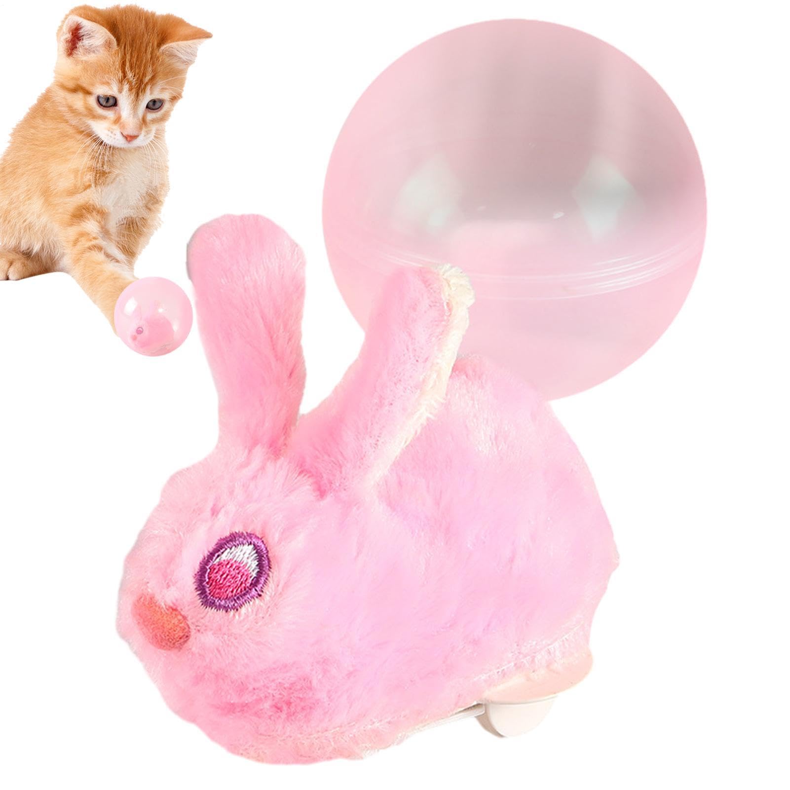Pelotas para gatos para evitar el aburrimiento y estrés en interiores