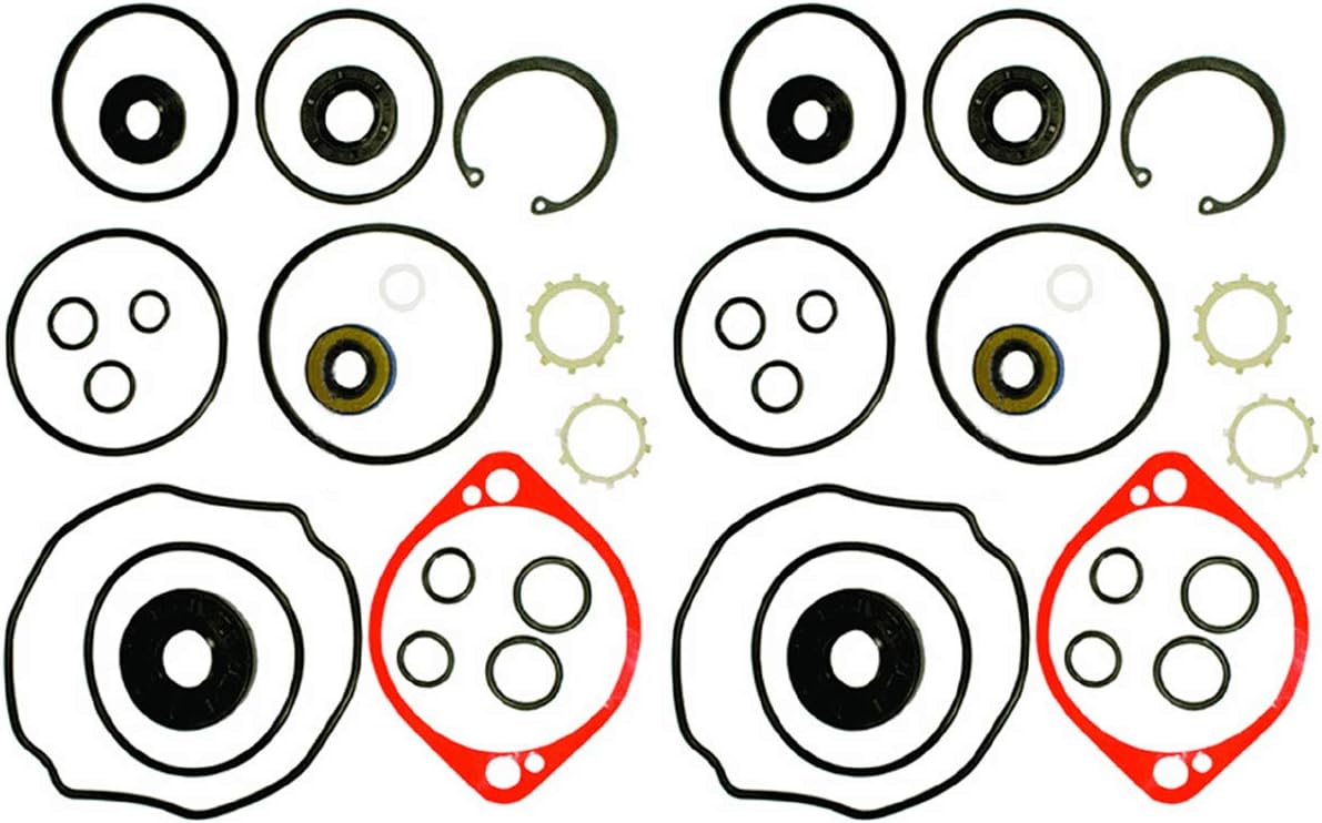 Hydro-Gear 2PK Genuine Original 70525 BDP-10A Pump Overhaul Seal Kit with Seals & Gaskets